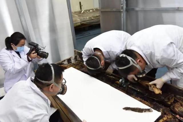 甘肅文物事業(yè)高質(zhì)量發(fā)展邁出堅(jiān)實(shí)步伐《四》(圖2) 2.jpeg